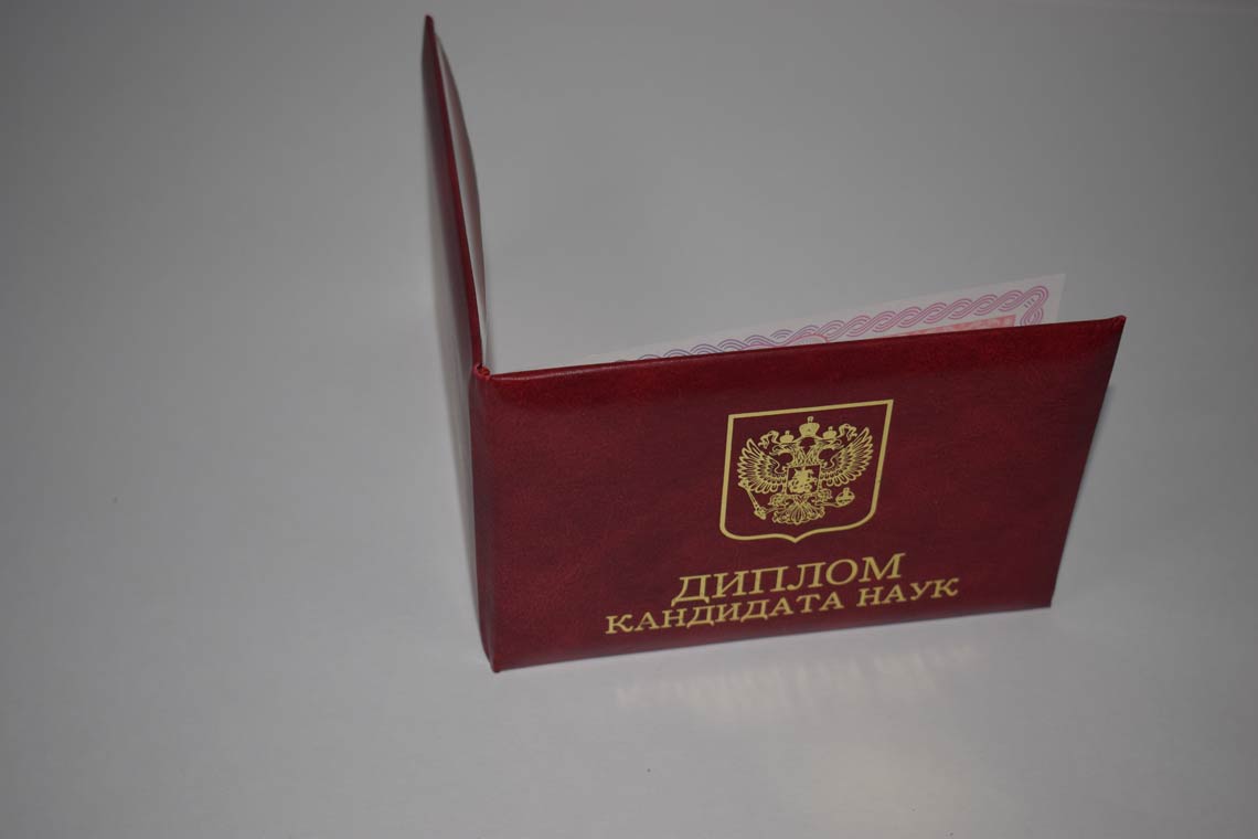 Диплом Кандидата Наук 2013-2016 в Иваново корка