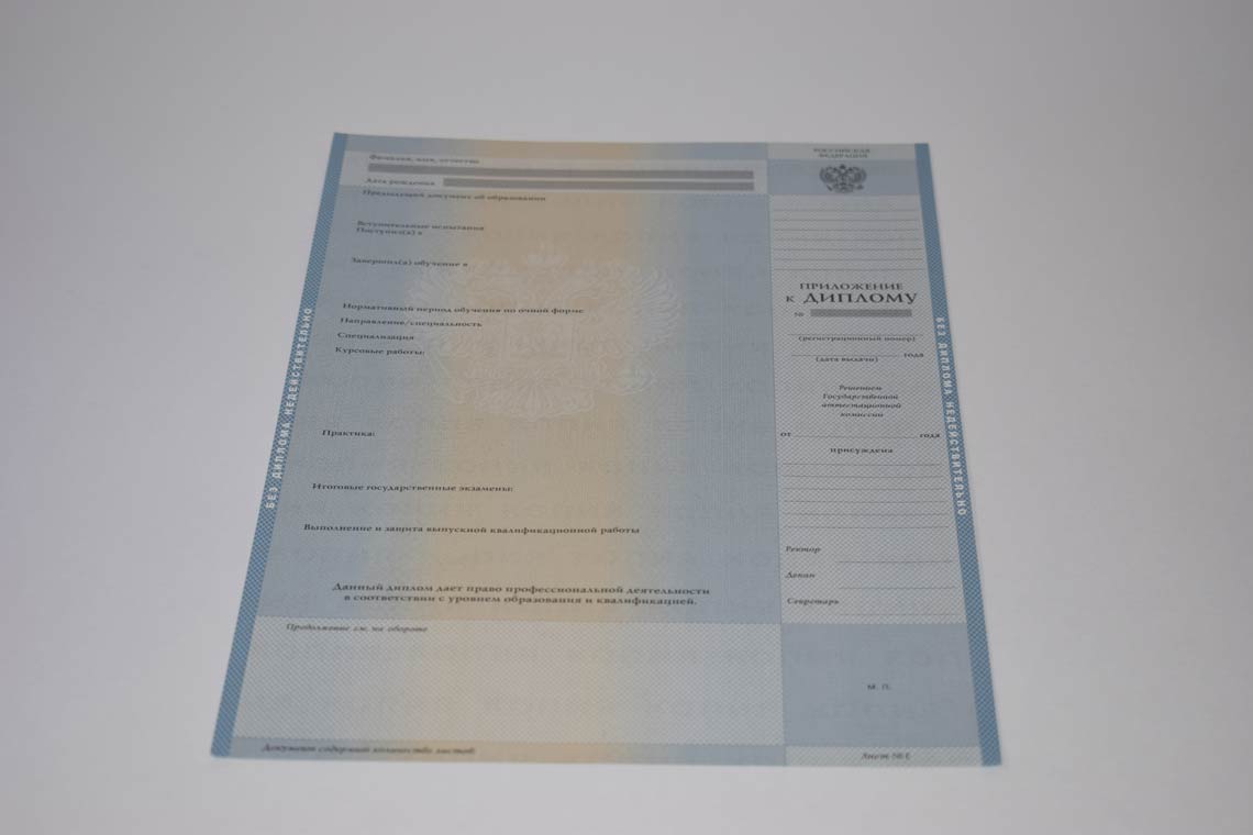 Диплом Магистра с 2003-2008 в Иваново приложение